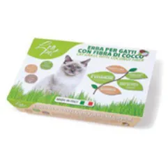 HERBE À CHAT AVEC FIBRE DE COCO